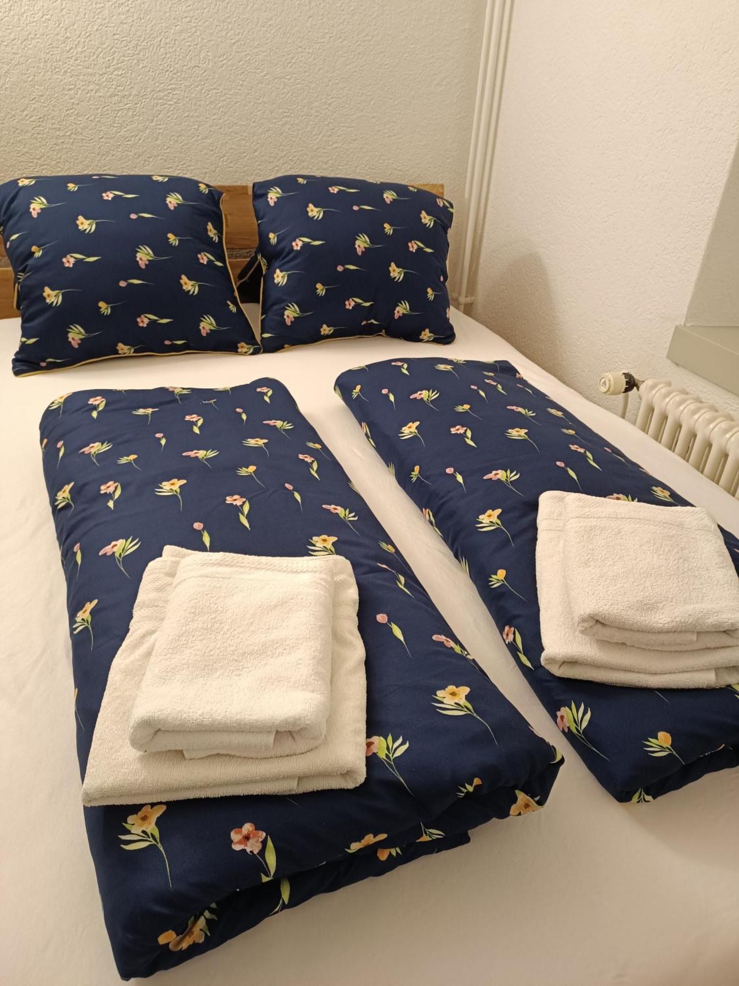 Apartment Jolie Интерлакен Екстериор снимка
